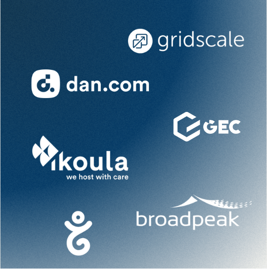Infrastructure Software & Digital Infra