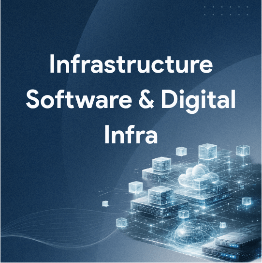 Infrastructure Software & Digital Infra